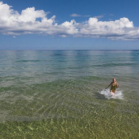 Akrogiali Beach Hotel Apartments Malia Eksteriør billede